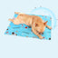 Dog ice pad