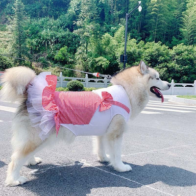 Princess Golden Retriever Clothes