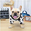 Pug Dog Autumn Winter Sweater