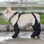 Waterproof and Adjustable Dog Boots