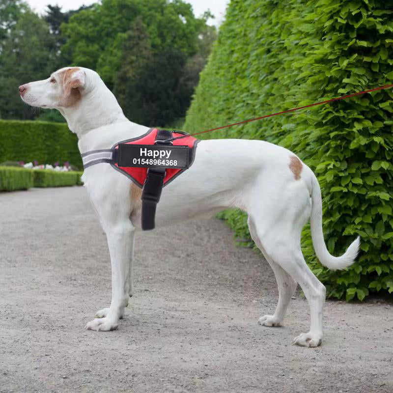 Personalized Custom Reflective Breathable Dog Harness