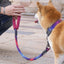 Golden Retriever Walking Rope