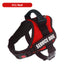 Dog Chest Braces Large Collars