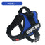 Dog Chest Braces Large Collars