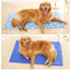 Dog ice pad