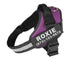 Personalized Custom Reflective Breathable Dog Harness