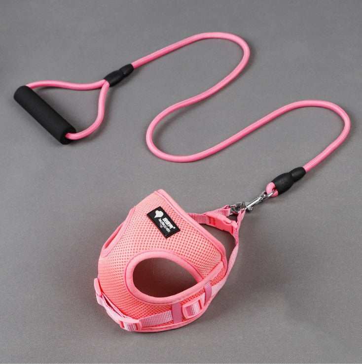 Pug dog leash dog collar