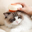 Electric Steamy Pet Brush For Massage Pet