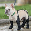 Waterproof and Adjustable Dog Boots