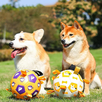 Dog Interactive Football Toys