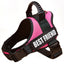 Dog Chest Braces Large Collars