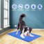 Dog Cooling Mat Non-Toxic Self Cool Gel Mat