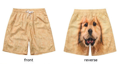 Golden Retriever Shorts Sports Pants