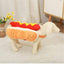 Funny Halloween Costumes For Dogs