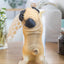 Pug Creative Kitchen Paper Towel Holder