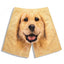 Golden Retriever Shorts Sports Pants