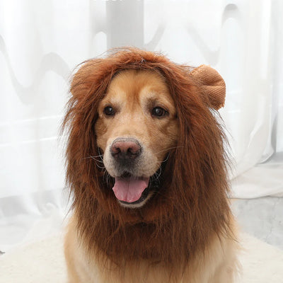 Golden Retriever Dog  Funny Act Cute Wig Lion Hood Hat