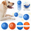 Automatic Moving Bouncing Rolling Ball for Dog