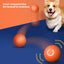 Automatic Moving Bouncing Rolling Ball for Dog