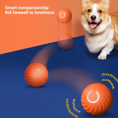 Automatic Moving Bouncing Rolling Ball for Dog