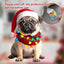 Charming Pug Christmas Home ,Gift & Decor