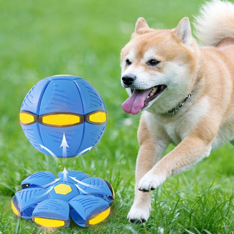 Dog Toys Magic Futurism Flying Saucer Ball