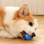 Automatic Moving Bouncing Rolling Ball for Dog