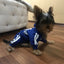 Yorkie Winter Warm Jumpsuits