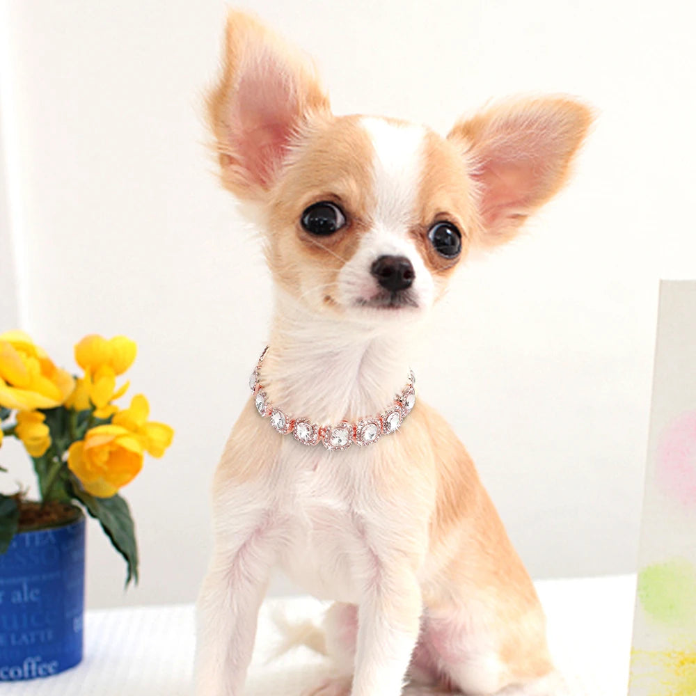 Bling Diamond Dog Chain Collar For Chihuahua