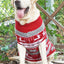 Big Dog Sweater Winter Warm Christmas Clothes  Golden Retriever