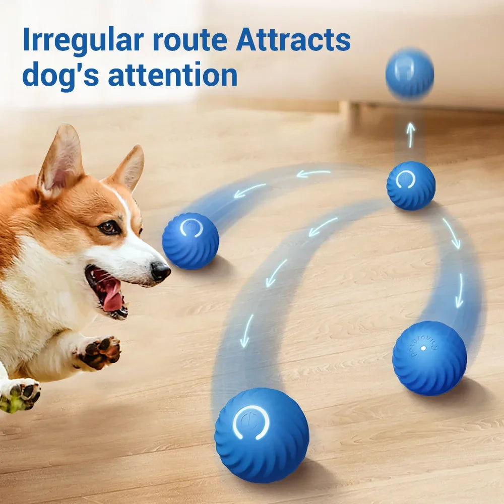 Automatic Moving Bouncing Rolling Ball for Dog