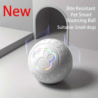 Interactive Pet Toy Dog Toy Ball