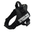 Explosion-proof Chest Harness Pet Leash