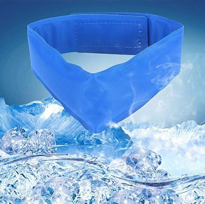 Heatstroke Dog Ice Bag Collar