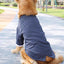 Golden Retriever Husky Labrador Clothes