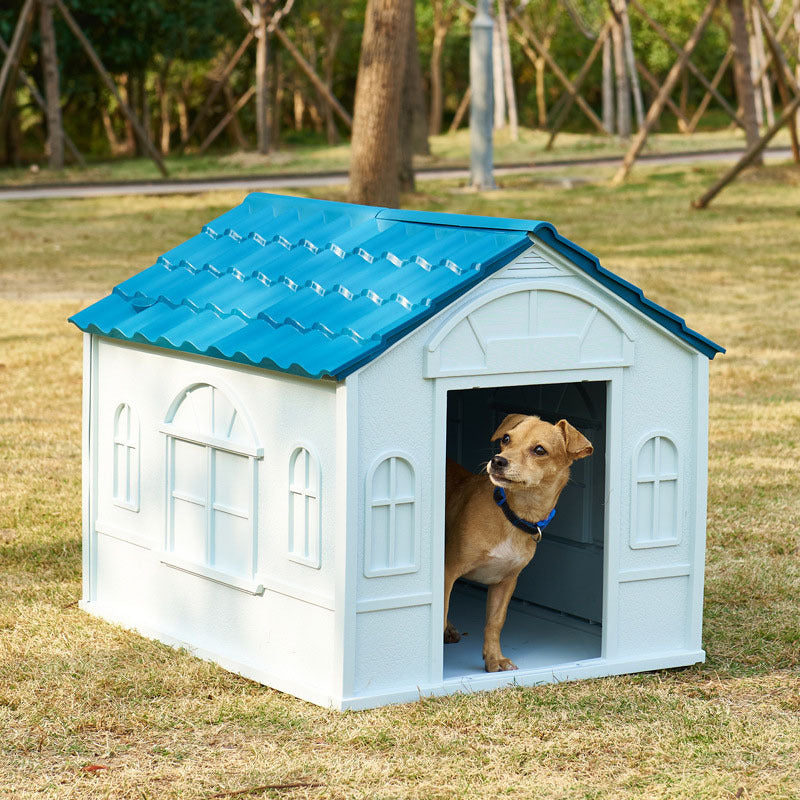 Outdoor Rainproof Golden Retriever