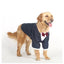 Golden Retriever Husky Labrador Clothes