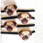 4 Pcs Pug Hair Ties For Pug Mom