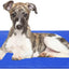 Dog Cooling Mat Non-Toxic Self Cool Gel Mat