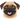 Pug